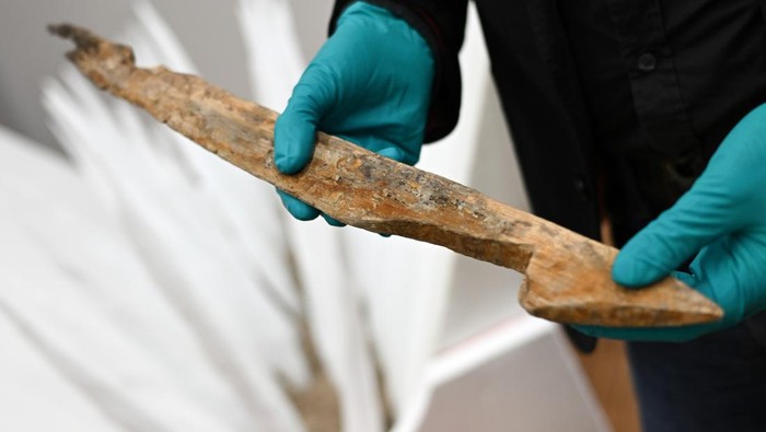 Penampakan Perangkap Mematikan dari Kayu Runcing Era Militer Romawi 26 February 2024, Rhineland-Palatinate, Mainz: Markus WittkΓΆpper, restorer of antiquities, presents sharpened wooden stakes from a Roman defense trench (1st century AD) behind a polystyrene model at the Leibniz Centre for Archaeology (LEIZA). The deadly traps made of sharpened wooden stakes were discovered during archaeological investigations of two Roman military camps in Bad Ems and examined, restored and conserved in the restoration laboratory in Mainz. Photo: Arne Dedert/dpa (Photo by Arne Dedert/picture alliance via Getty Images)