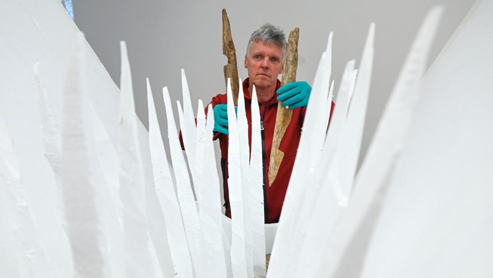 Penampakan Perangkap Mematikan dari Kayu Runcing Era Militer Romawi 26 February 2024, Rhineland-Palatinate, Mainz: Markus WittkÃļpper, restorer of antiquities, presents sharpened wooden stakes from a Roman defense trench (1st century AD) behind a polystyrene model at the Leibniz Centre for Archaeology (LEIZA). The deadly traps made of sharpened wooden stakes were discovered during archaeological investigations of two Roman military camps in Bad Ems and examined, restored and conserved in the restoration laboratory in Mainz. Photo: Arne Dedert/dpa (Photo by Arne Dedert/picture alliance via Getty Images)