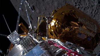 Dalam perayaan atas apa yang dijuluki NASA sebagai langkah besar ke depan, awalnya tidak ada konfirmasi langsung tentang status atau kondisi pendarat, kecuali bahwa wahana tersebut telah mencapai situs pendaratannya yang direncanakan di kawah Malapert A.