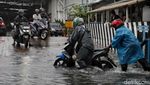 Pengendara Motor Nekat Terobos Banjir di Tanjung Priok