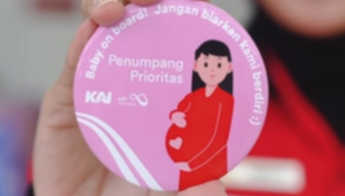 Pin ibu hamil