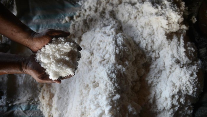 Seorang anggota kelompok petani garam tradisional mengumpulkan butir garam saat produksi di  desa Lam Ujung, kabupaten Aceh Besar, Aceh, Kamis (29/2/2024). Kementerian Kelautan dan Perikanan (KKP) mencatat produksi garam nasional selama 2023 sebesar 2,5 juta ton atau meningkat sekitar 147 persen dari yang ditargetkan tahun 2023 sebesar 1,7 juta ton. ANTARA FOTO/Ampelsa/aww.