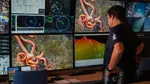 Lucu dan Unik! Peneliti Temukan Lebih dari 100 Spesies Baru Hewan Laut
