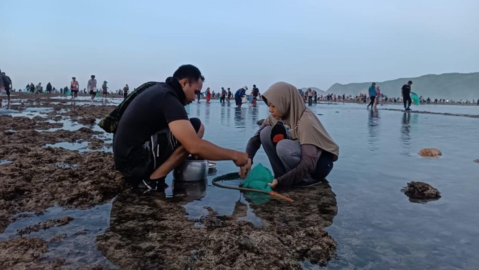 Warga berburu myale di Pantai Tanjung Aan, Kuta Mandalika, Lombok Tengah, NTB, Kamis (29/2/2024). Warga percaya nyale merupakan jelmaan dari Putri Mandalika.