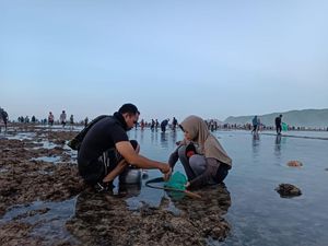 Ribuan Warga Buru Cacing Laut Sebelum Acara Bau Nyale 2024