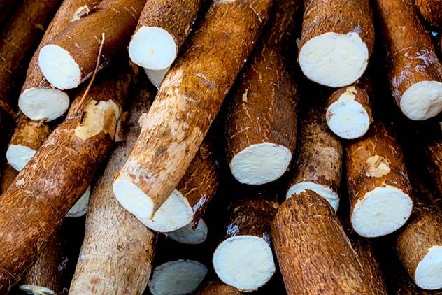 5 Makanan Berbahaya Ini Ternyata Enak Dimakan, Ada Jamur Otak dan Ubur-ubur
