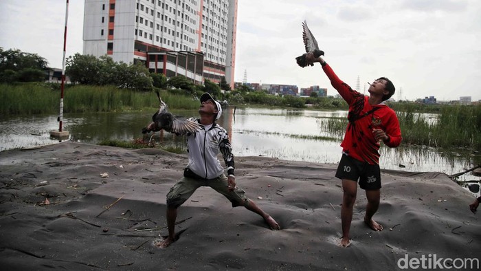 Banjir-banjiran Main Merpati di Kawasan Cilincing Banjir tak kunjung surut, warga Cilincing bermain burung merpati ditengah genangan air banjir. Begini momennya.