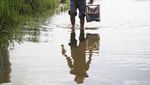 Bermain Merpati di Tengah Banjir ala Warga Cilincing