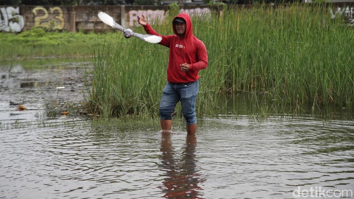 Banjir-banjiran Main Merpati di Kawasan Cilincing Banjir tak kunjung surut, warga Cilincing bermain burung merpati ditengah genangan air banjir. Begini momennya.