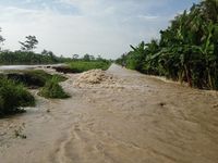 Tanggul Sungai Cimeneng Di Bantarsari Cilacap Jebol, 150 KK Mengungsi