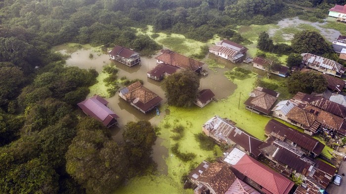Banjir di Jambi memasuki bulan kedua Foto udara kawasan permukiman yang terendam banjir luapan Sungai Batanghari dan dipenuhi kiambang di Arab Melayu, Pelayangan, Jambi, Kamis (29/2/2024). Banjir yang melanda ribuan rumah dan akses jalan di Kecamatan Pelayangan dan Danau Teluk kota itu telah berlangsung selama dua bulan lebih, dan sejumlah titik bahkan telah dipenuhi kiambang sehingga menghambat akses perahu warga. ANTARA FOTO/Wahdi Septiawan/aww.
