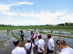 Banyuwangi Terapkan Pemupukan Dosis Berbasis IoT, Ini Fungsinya