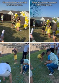 Foto Gender Reveal Gagal