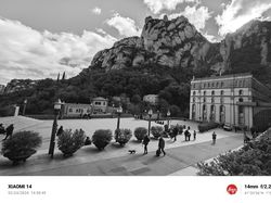 Menguji Kamera Xiaomi 14, Sebagus Apa Sih Foto Hitam Putihnya?