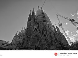 Menguji Kamera Xiaomi 14, Sebagus Apa Sih Foto Hitam Putihnya?