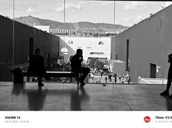 Menguji Kamera Xiaomi 14, Sebagus Apa Sih Foto Hitam Putihnya?