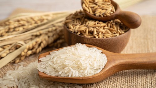 Ilustrasi beras