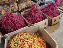 Petani Sebut Tak Ada Cabai Rp 3.000/Kg: Sekarang Rp 30.000-Rp 45.000/Kg