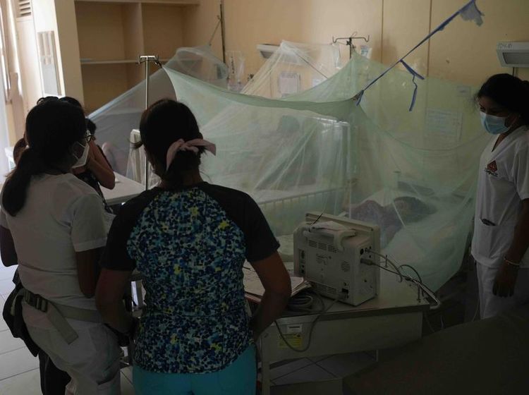 Kasus DBD Meningkat, Peru Umumkan Darurat Kesehatan