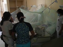 Kasus DBD Meningkat, Peru Umumkan Darurat Kesehatan
