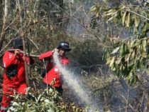 Kebakaran Lahan di Dumai Meluas