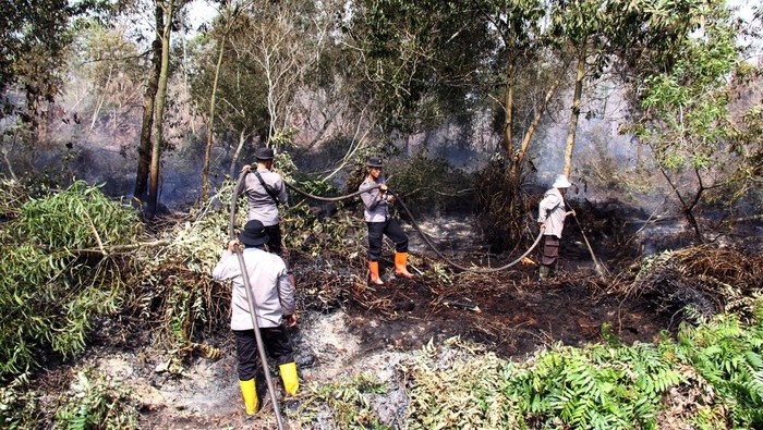 Kebakaran lahan semakin meluas di Dumai Petugas Manggala Agni memadamkan api yang membakar semak belukar di lahan gambut kawasan Dumai Bengkel Kecamatan Dumai Timur, Dumai, Riau, Jumat (1/3/2024). Puluhan hektare lahan gambut dan kawasan perkebunan masyarakat terbakar di Dumai Timur, Bukit Kapur, dan Sungai Sembilan akibat cuaca panas, dan sejumlah titik api ditemukan di daerah tersebut membuat kebakaran semakin meluas sementara petugas Manggala Agni dibantu polisi serta TNI terus berupaya memadamkan api dan melakukan proses pendinginan di lahan bekas terbakar. ANTARA FOTO/Aswaddy Hamid/tom.