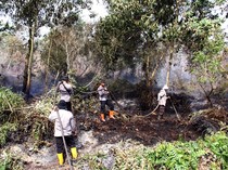 BMKG Deteksi Ada 32 Titik Panas di Kalimantan Tengah