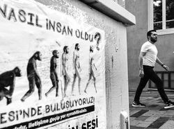 Berkat Timing yang Tepat, Foto Jalanan Ini Bikin Mindblowing