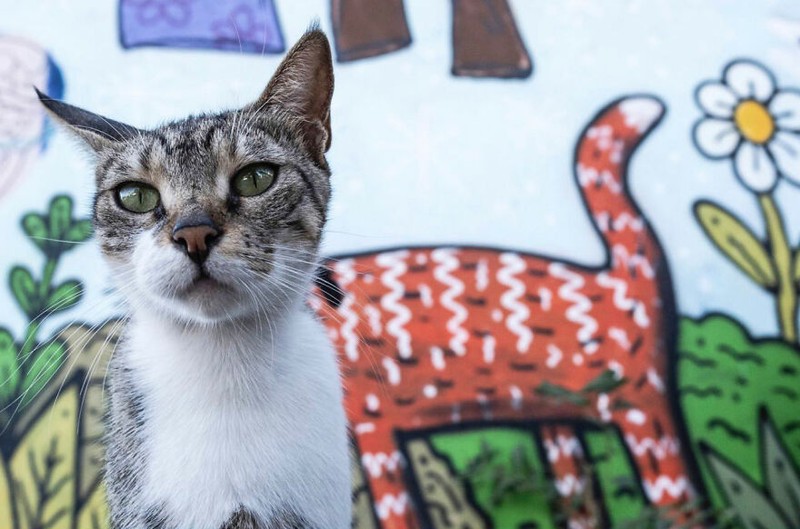 Kumpulan Foto seni jalanan timing pas