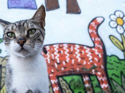 Berkat Timing yang Tepat, Foto Jalanan Ini Bikin Mindblowing