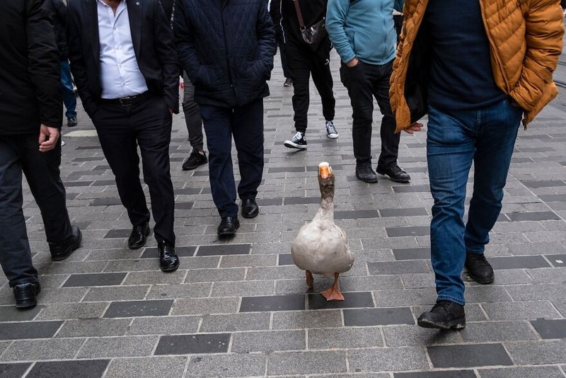 Kumpulan Foto seni jalanan timing pas