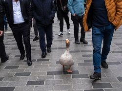 Berkat Timing yang Tepat, Foto Jalanan Ini Bikin Mindblowing