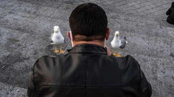 Seolah dua burung ini berdiri tepat di bahunya. Foto: Boredpanda/Serkan Tekin