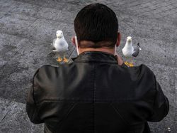 Berkat Timing yang Tepat, Foto Jalanan Ini Bikin Mindblowing