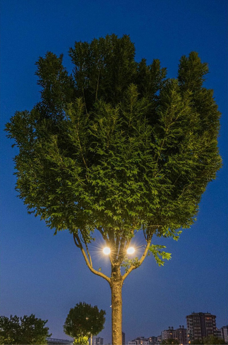 Kumpulan Foto seni jalanan timing pas
