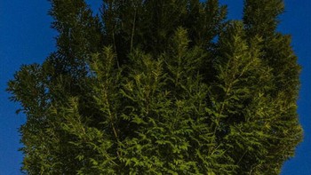 Saya juga senang memotret momen candid dan tidak pernah mengganggu arus. Tentu saja, pada tahap ini, saya sangat mementingkan privasi, jelasnya Foto: Boredpanda/Serkan Tekin