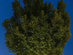 Berkat Timing yang Tepat, Foto Jalanan Ini Bikin Mindblowing