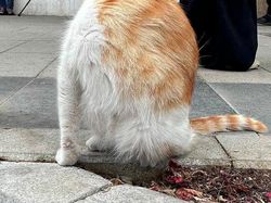 Berkat Timing yang Tepat, Foto Jalanan Ini Bikin Mindblowing