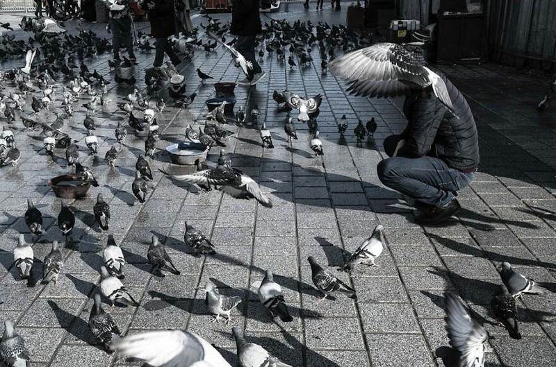 Kumpulan Foto seni jalanan timing pas