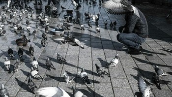 Apa pun yang terjadi, berkomunikasi dengan orang-orang sangatlah penting. Sering kali akan bermanfaat untuk tetap tenang. Utamakan keselamatan. Foto: Boredpanda/Serkan Tekin