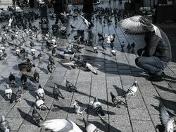 Berkat Timing yang Tepat, Foto Jalanan Ini Bikin Mindblowing