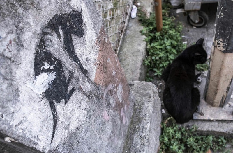 Kumpulan Foto seni jalanan timing pas
