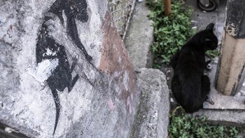 Namun, ada beberapa area berbahaya di Istanbul. Anda tidak boleh pergi ke sini sendirian. Maka komunikasi mungkin juga tidak akan berhasil, terangnya. Foto: Boredpanda/Serkan Tekin