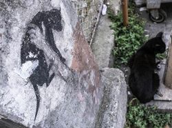 Berkat Timing yang Tepat, Foto Jalanan Ini Bikin Mindblowing