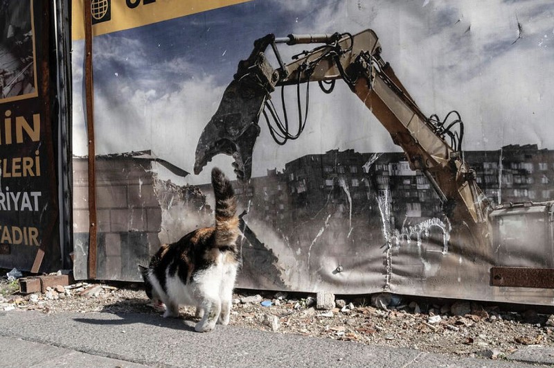 Kumpulan Foto seni jalanan timing pas