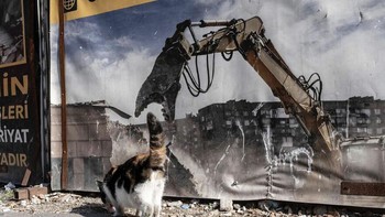 Awas cing, ada monster excavator. Foto: Boredpanda/Serkan Tekin