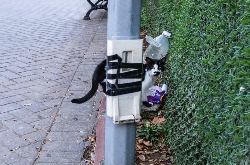 Kumpulan Foto seni jalanan timing pas
