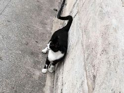 Berkat Timing yang Tepat, Foto Jalanan Ini Bikin Mindblowing