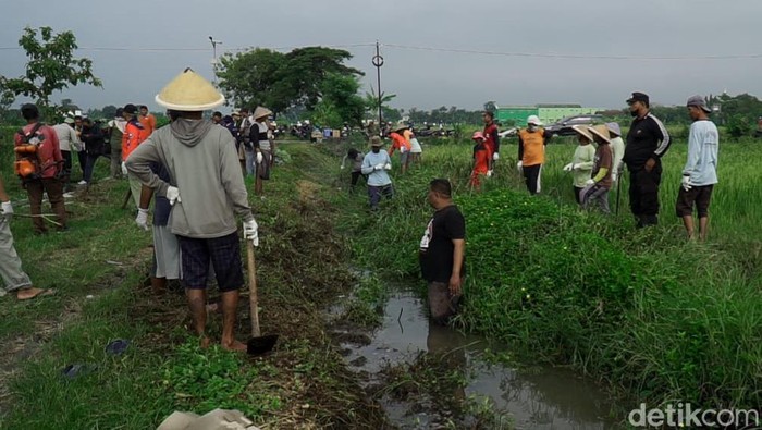 Masyarakat dan petugas melakukan gropyokan tikus di Desa Gombang, Kecamatan Sawit, Kabupaten Boyolali.