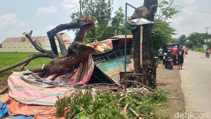 ohon trembesi patah menghantam warung angkringan di Wonosari, Klaten, Jumat (1/3/2024).